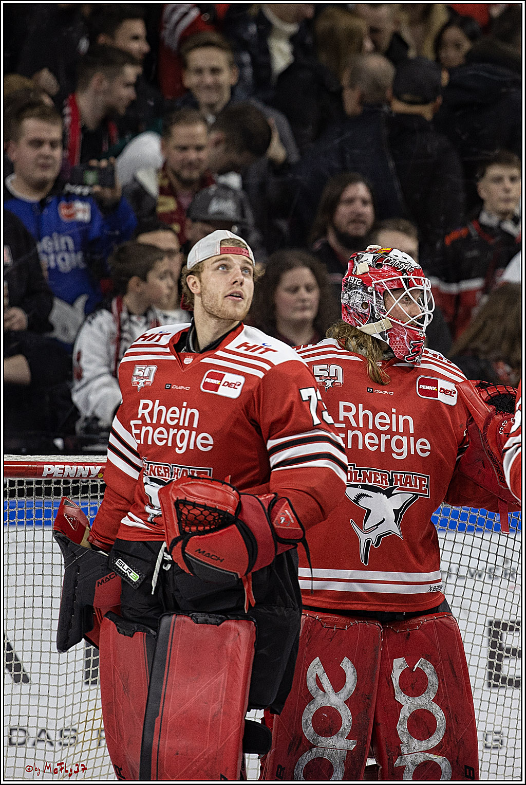 PENNY DEL;  Koelner Haie - Straubing Tigers; Koeln, 28.12.2022